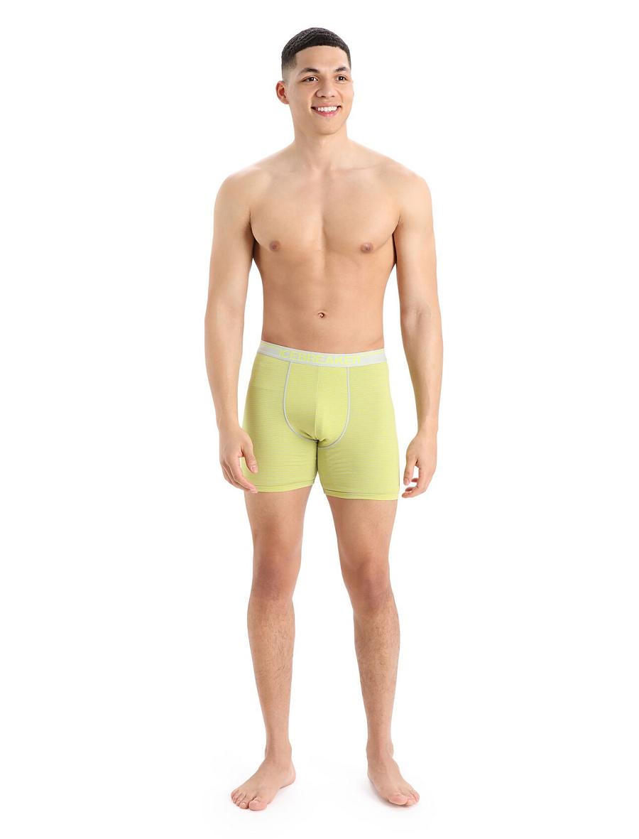 Icebreaker Merino Anatomica Long Boxers Férfi Fehérnemű Menta | HU 1283UZGT